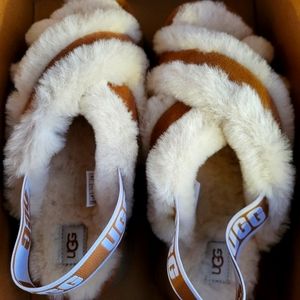 New Ugg Disco Cross Slide Chesnut
